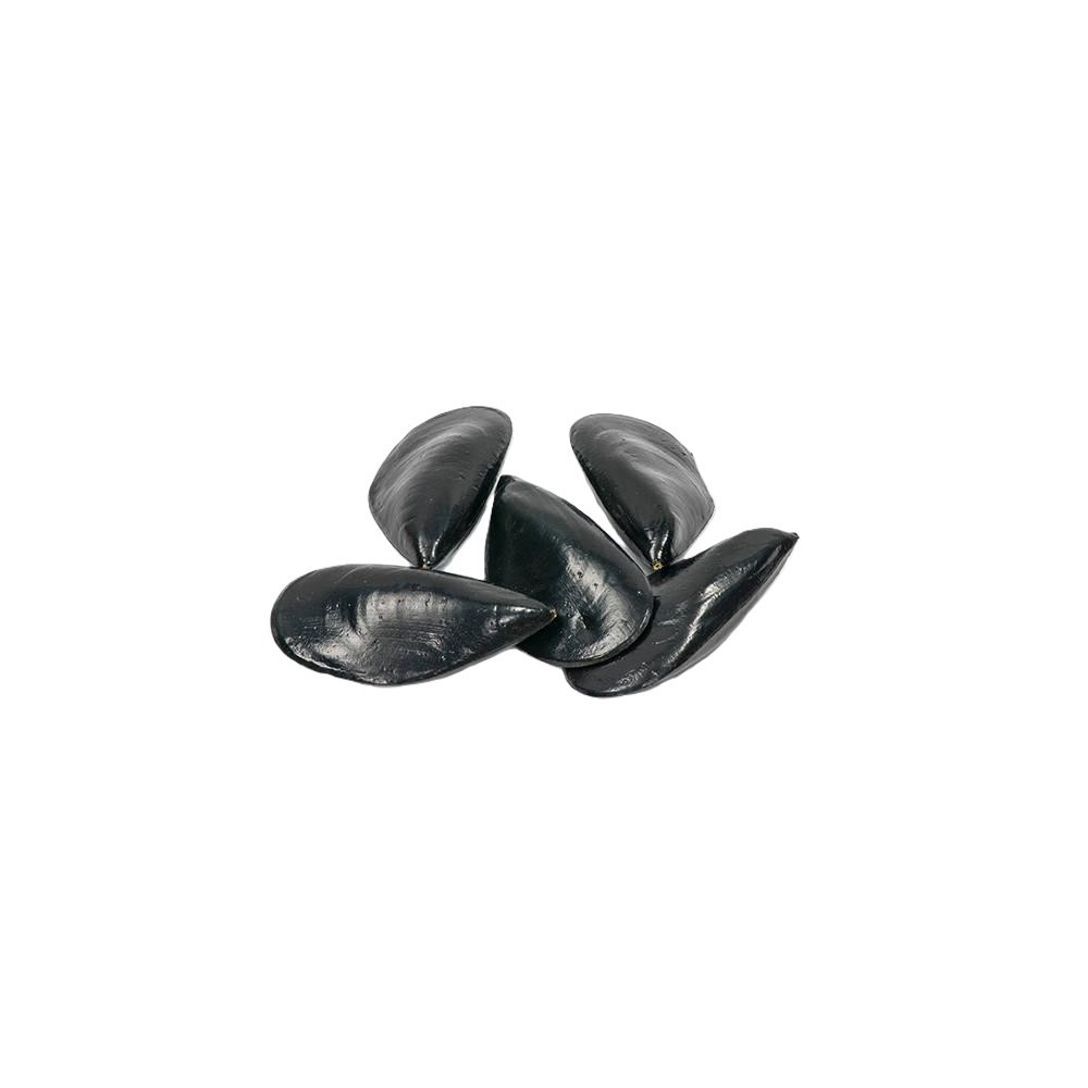 COZZE 10PZ BLACK
